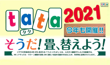 tata2021 そうだ！畳、替えよう！