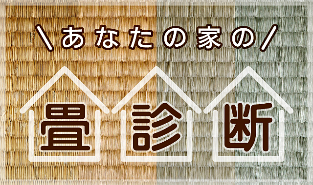 全国畳産業振興会認定「畳力ルテ」